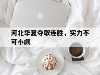 开云下载-河北华夏夺取连胜，实力不可小觑的简单介绍