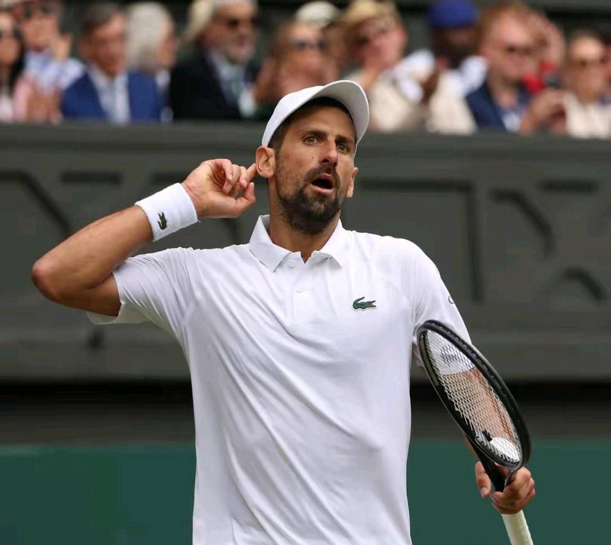 包含温网鏖战戴维斯杯，德约科维奇刷新纪录的词条